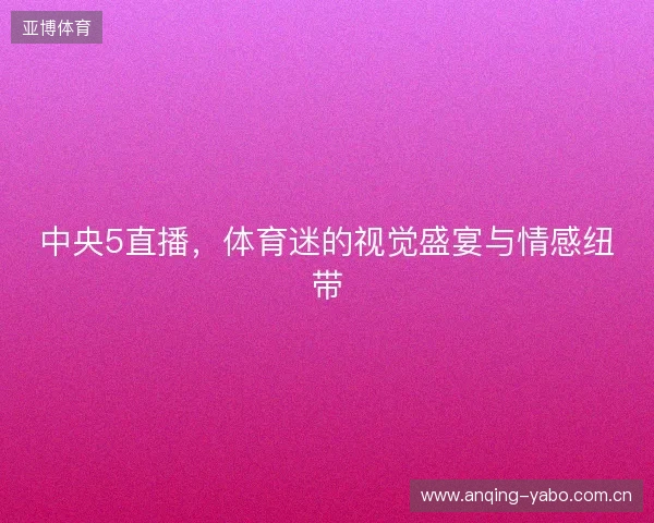 中央5直播，体育迷的视觉盛宴与情感纽带
