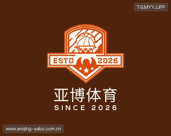 深度解析亚博体育官方网站